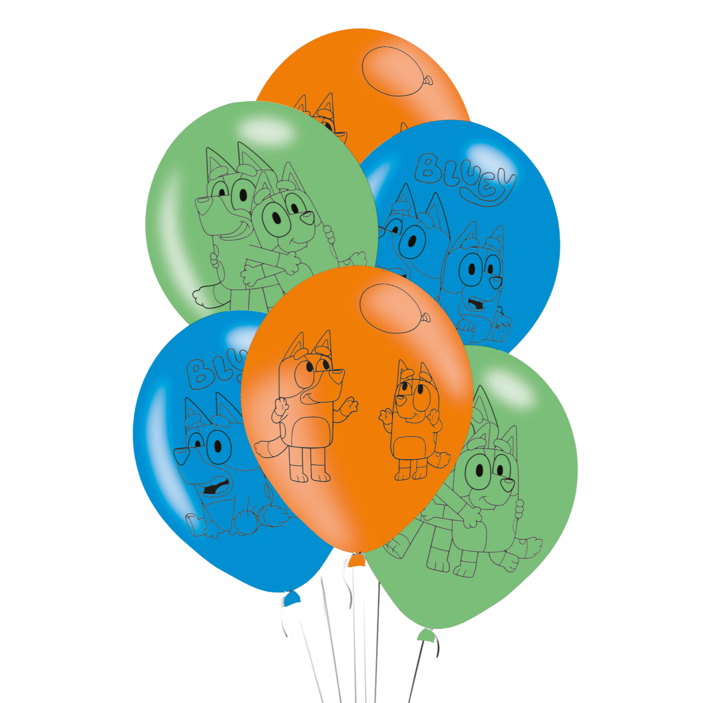 Bluey Complete Birthday Party in a Box