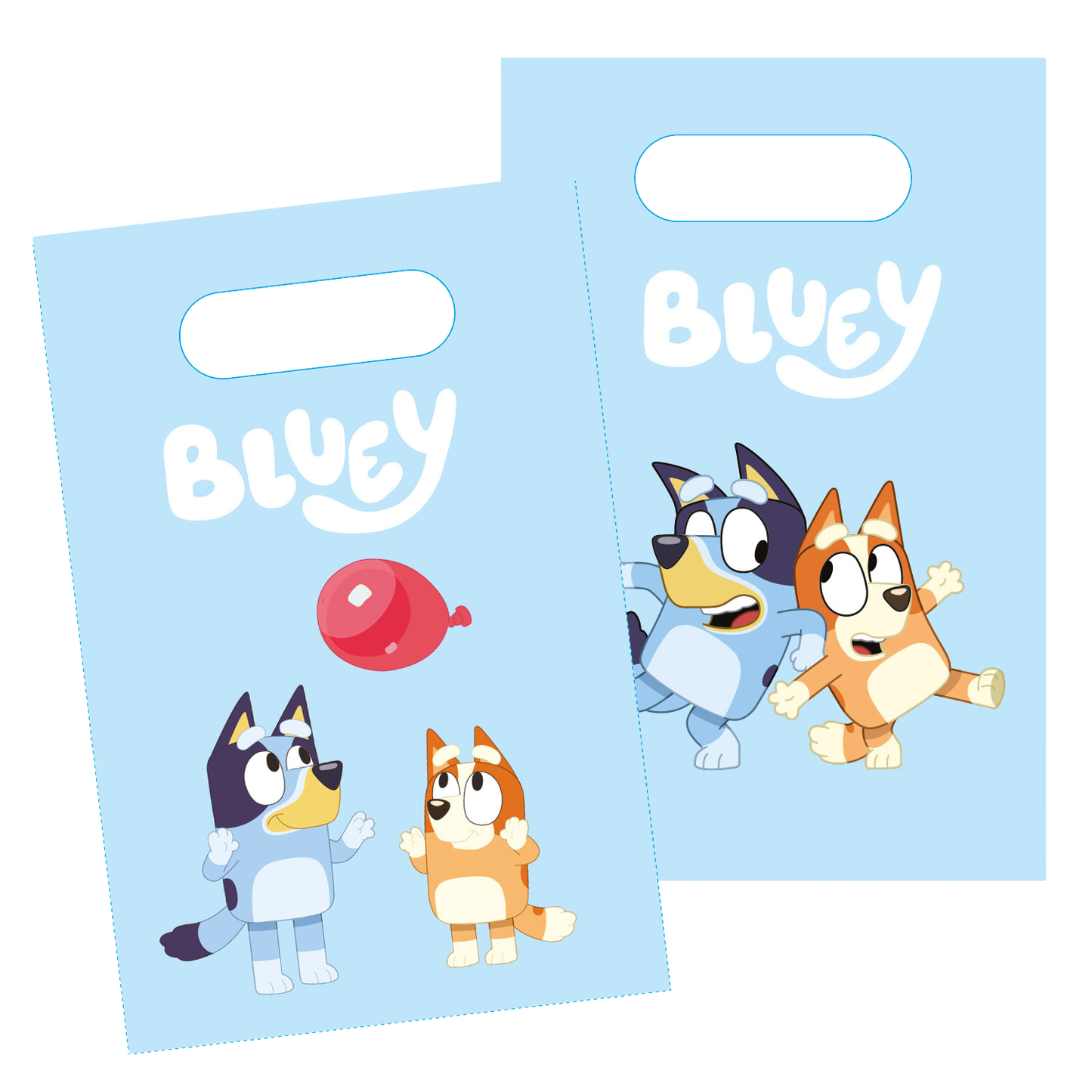 Bluey Complete Birthday Party in a Box