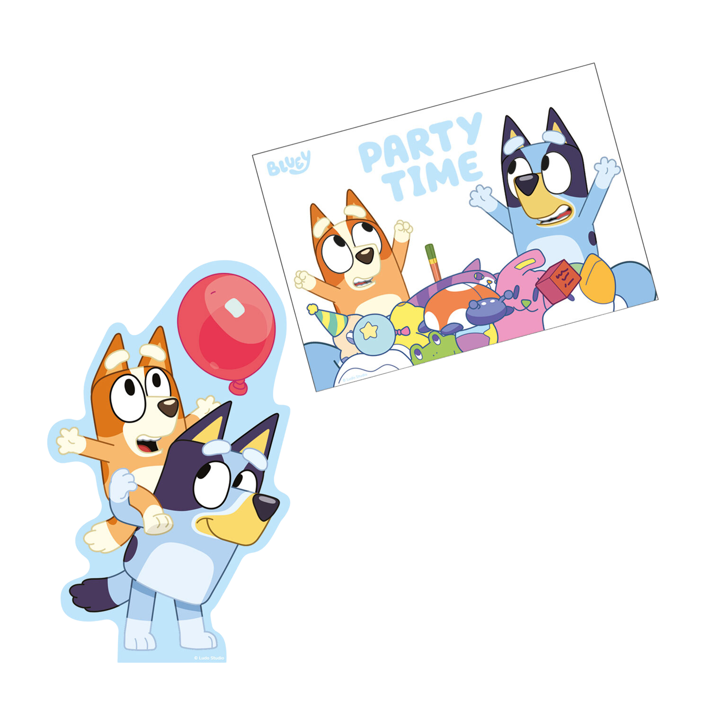 Bluey Complete Birthday Party in a Box