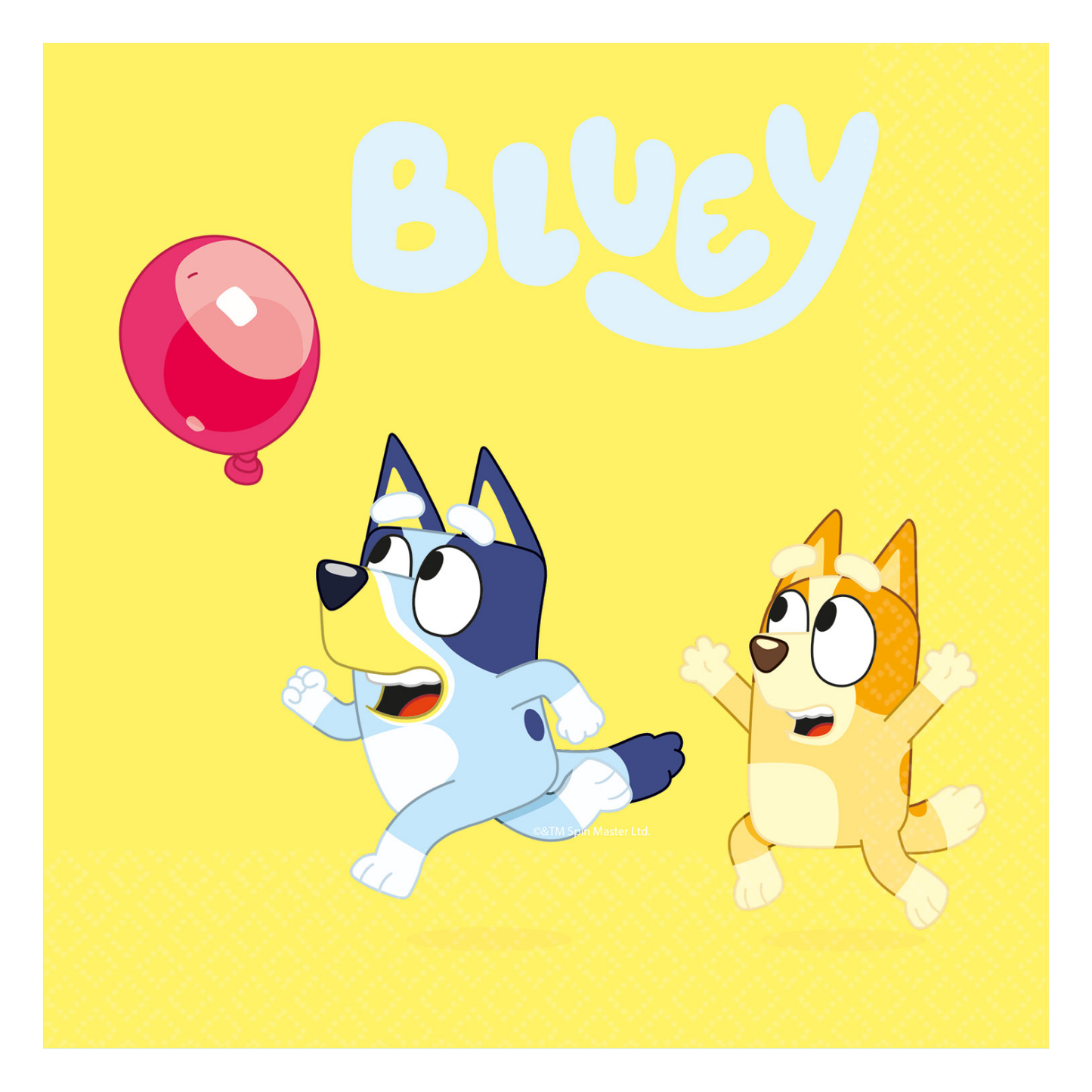 Bluey Complete Birthday Party in a Box