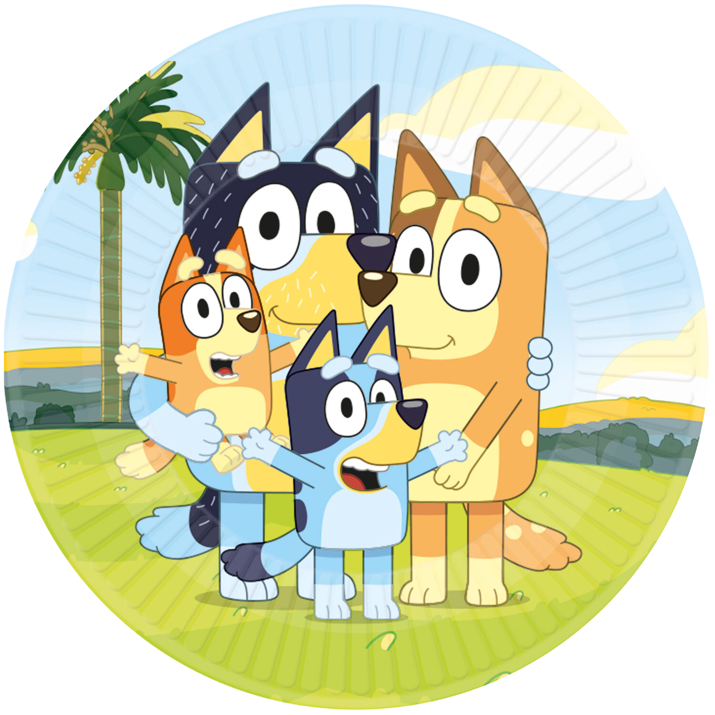 Bluey Complete Birthday Party in a Box