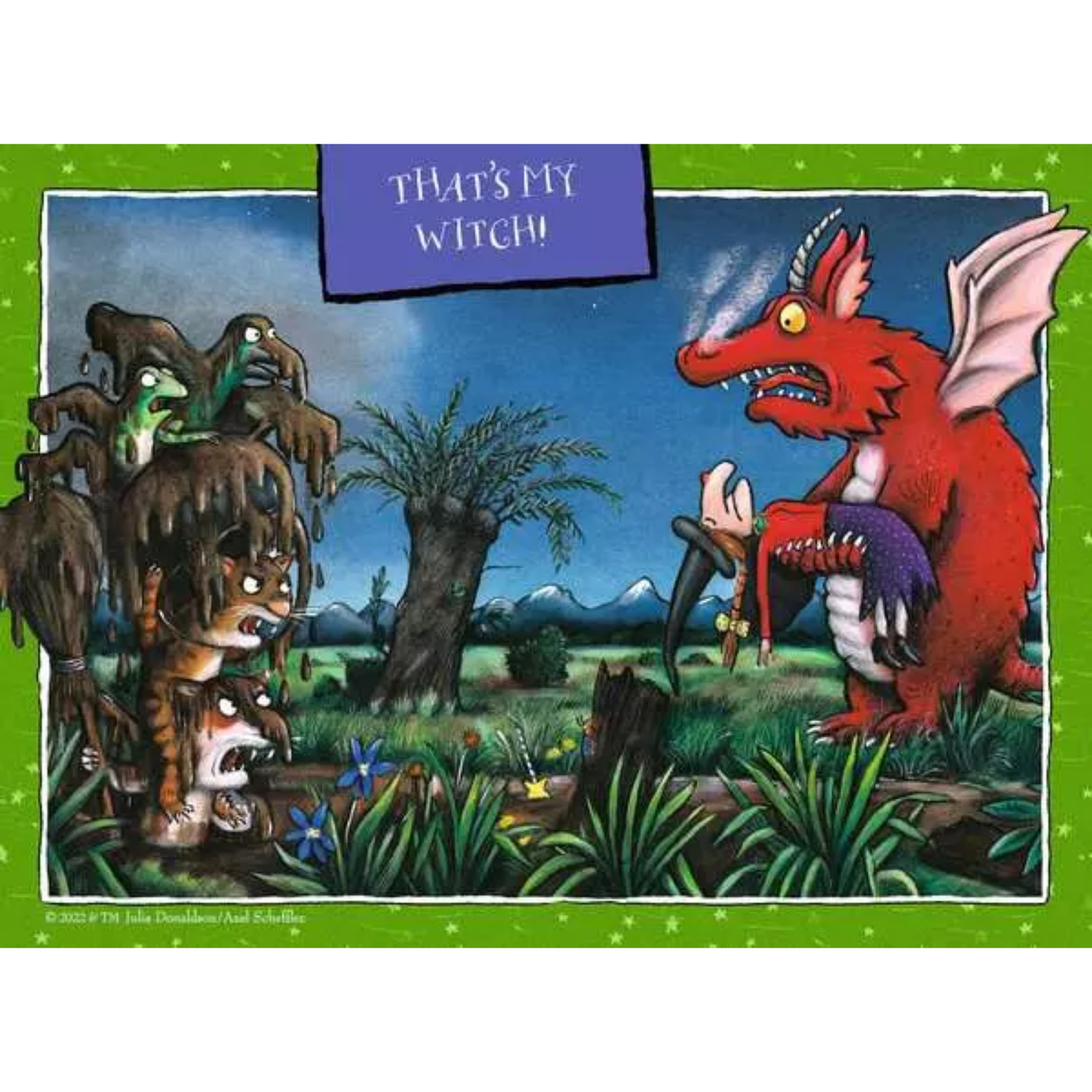 Ravensburger Room on the Broom, 4 in a Box