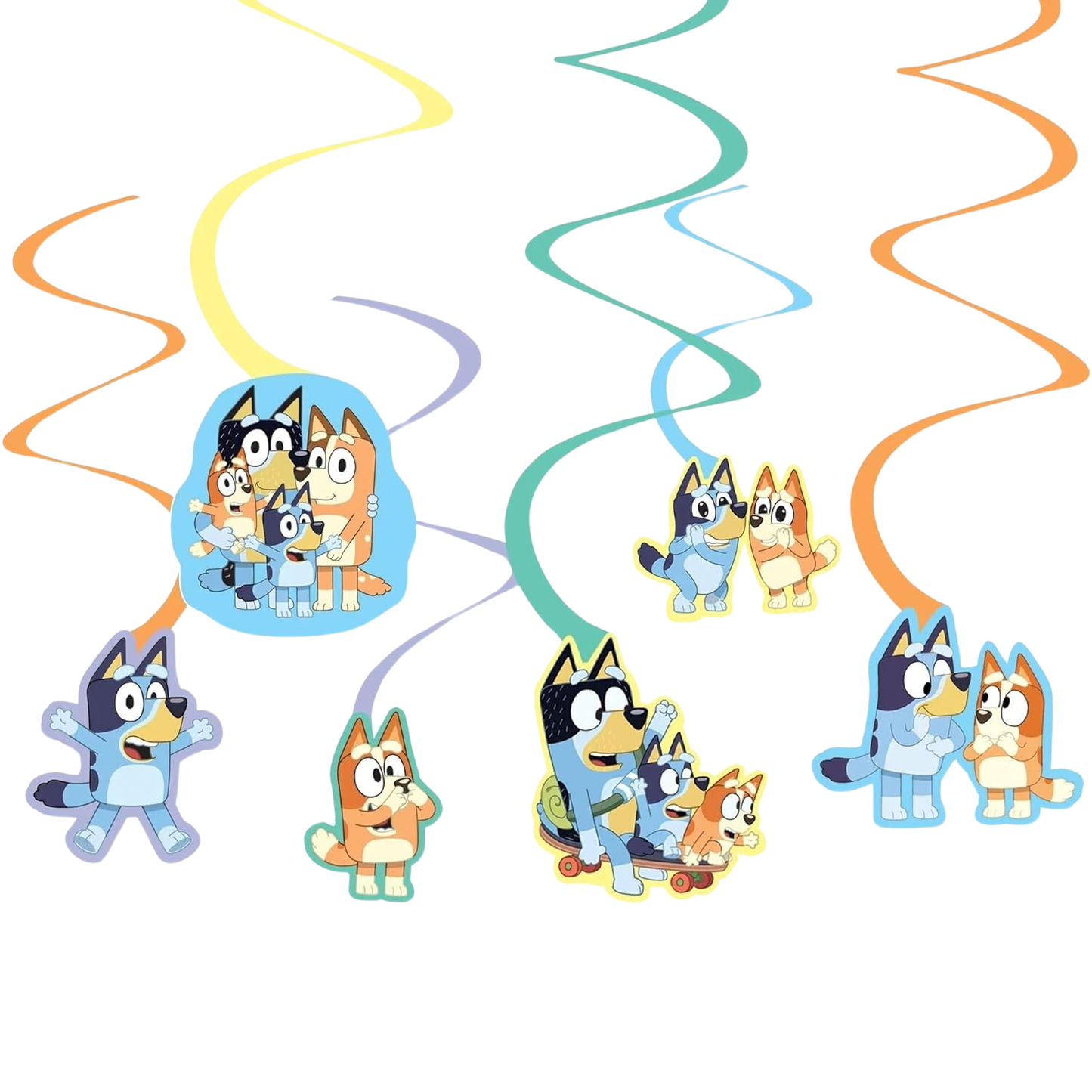 Bluey Complete Birthday Party in a Box