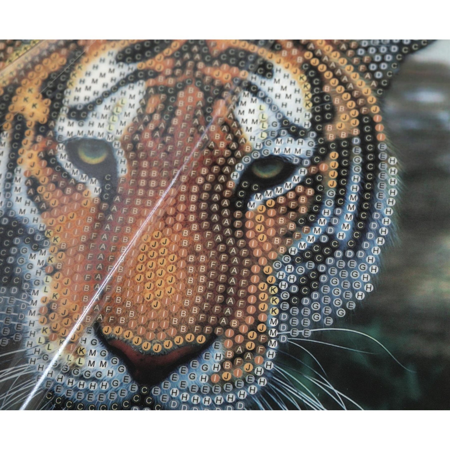 Tiger 18x18cm Crystal Art Card