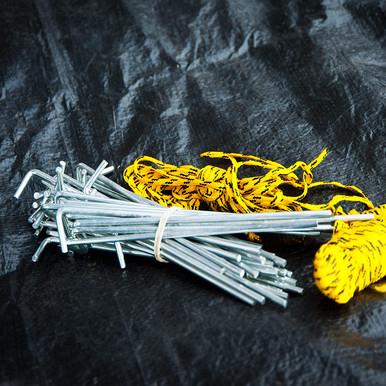 Tent Pegs & Bag