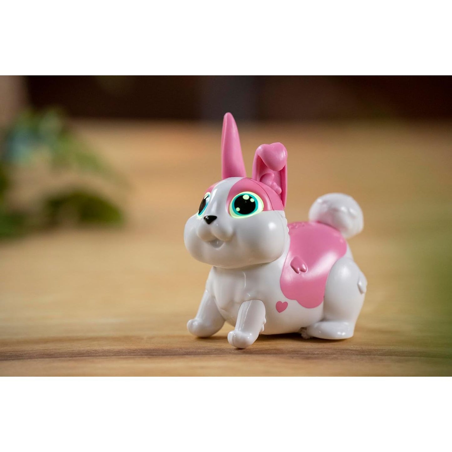 Animagic: Lets Go Bunny Your Hip, Hop Bouncing Best Friend!