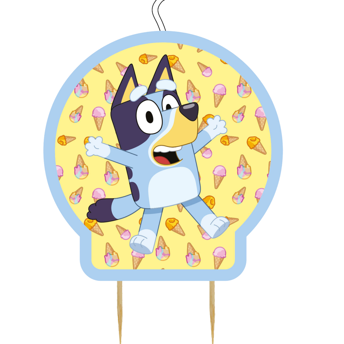 Bluey Complete Birthday Party in a Box