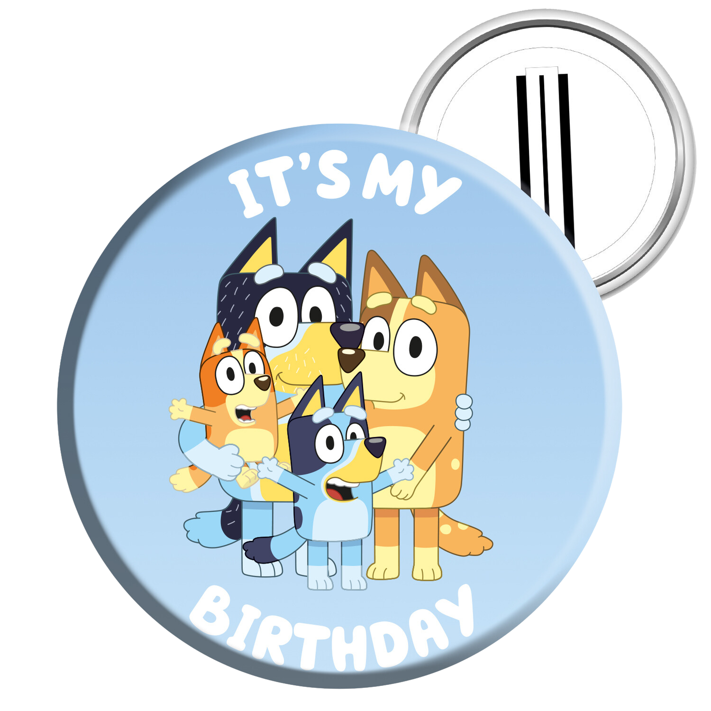 Bluey Complete Birthday Party in a Box