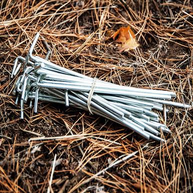 Tent Pegs & Bag
