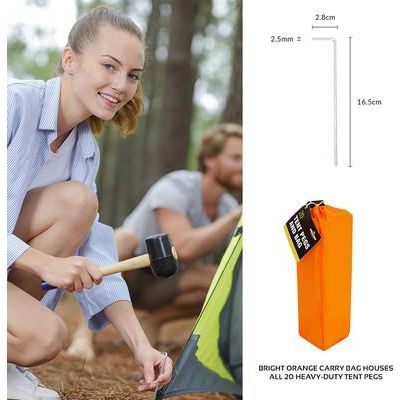 Tent Pegs & Bag