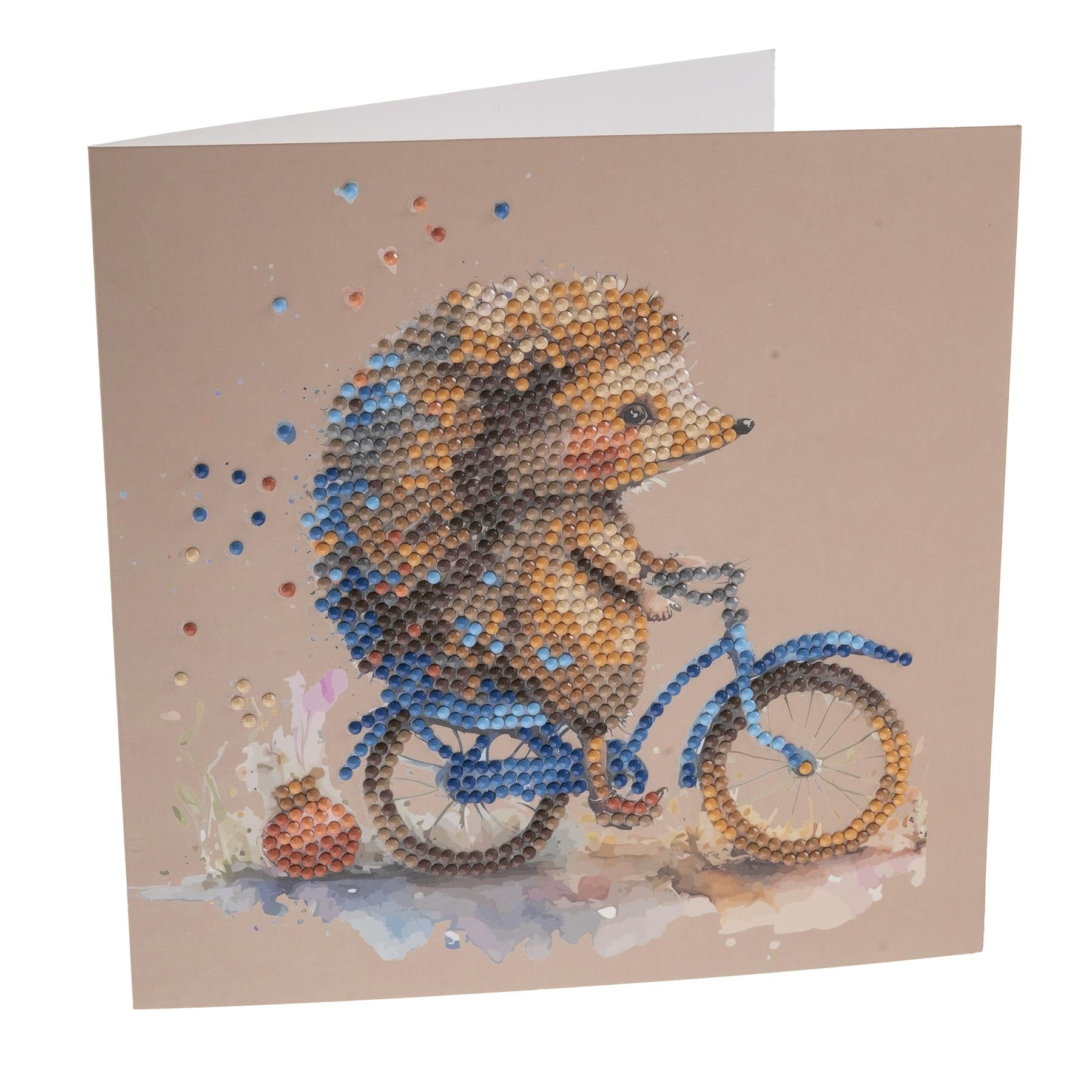 Hedgehog 18x18cm Crystal Art Card