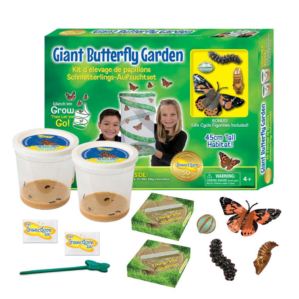 Butterfly garden, Garden butterfly, butterfly gardening, butterfly garden kits, insect lore, insect lore butterfly garden, butterfly gardens, live butterfly garden, caterpillars for butterfly garden, caterpillar grow kits, giant butterfly garden, live butterfly gardens caterpillars, uk garden butterflies, butterflies for school, butterfly kits for schools