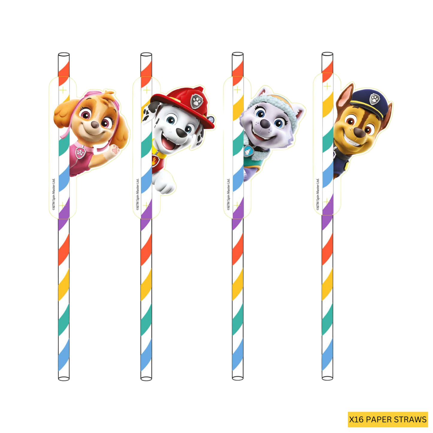 Paw Patrol Complete Birthday Party in a Box