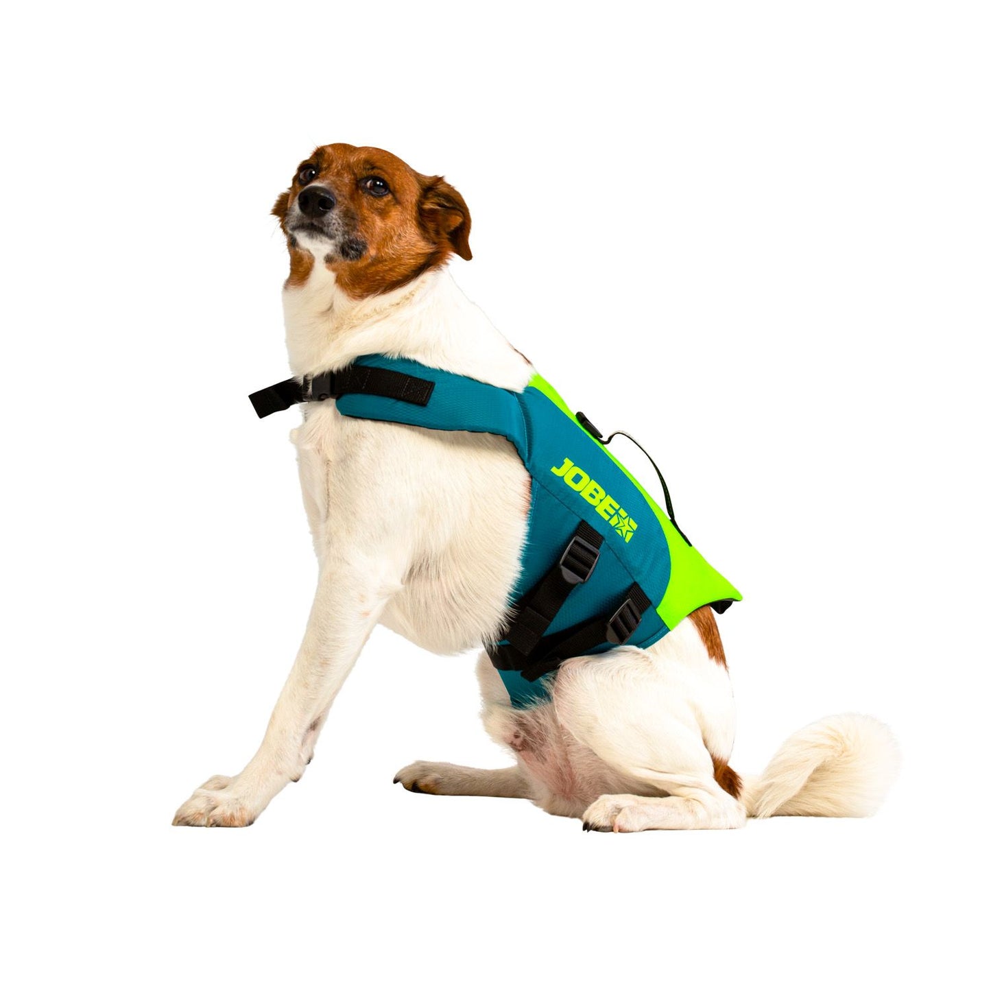 Jobe Pet Vest