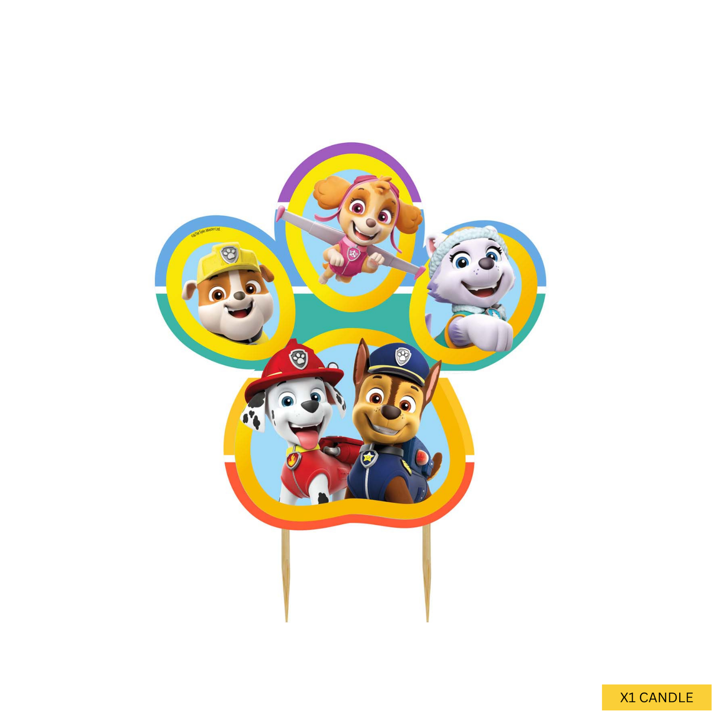 Paw Patrol Complete Birthday Party in a Box