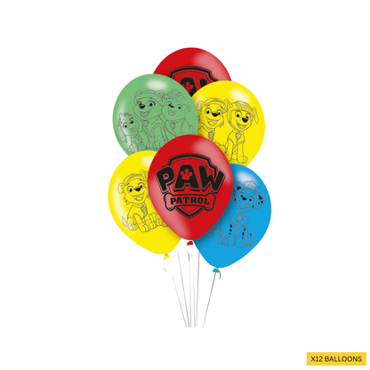 Paw Patrol Complete Birthday Party in a Box
