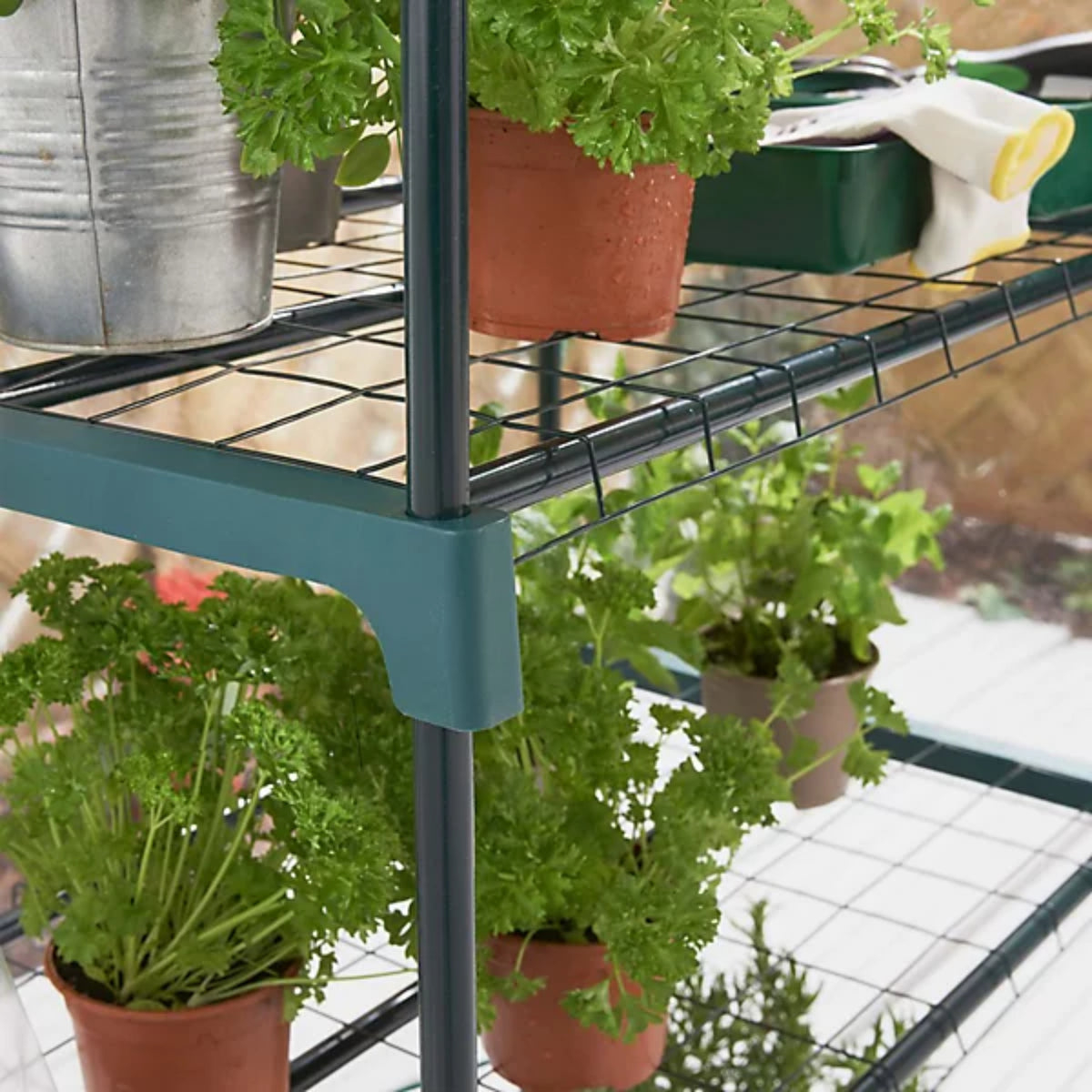 4 Tier Greenhouse