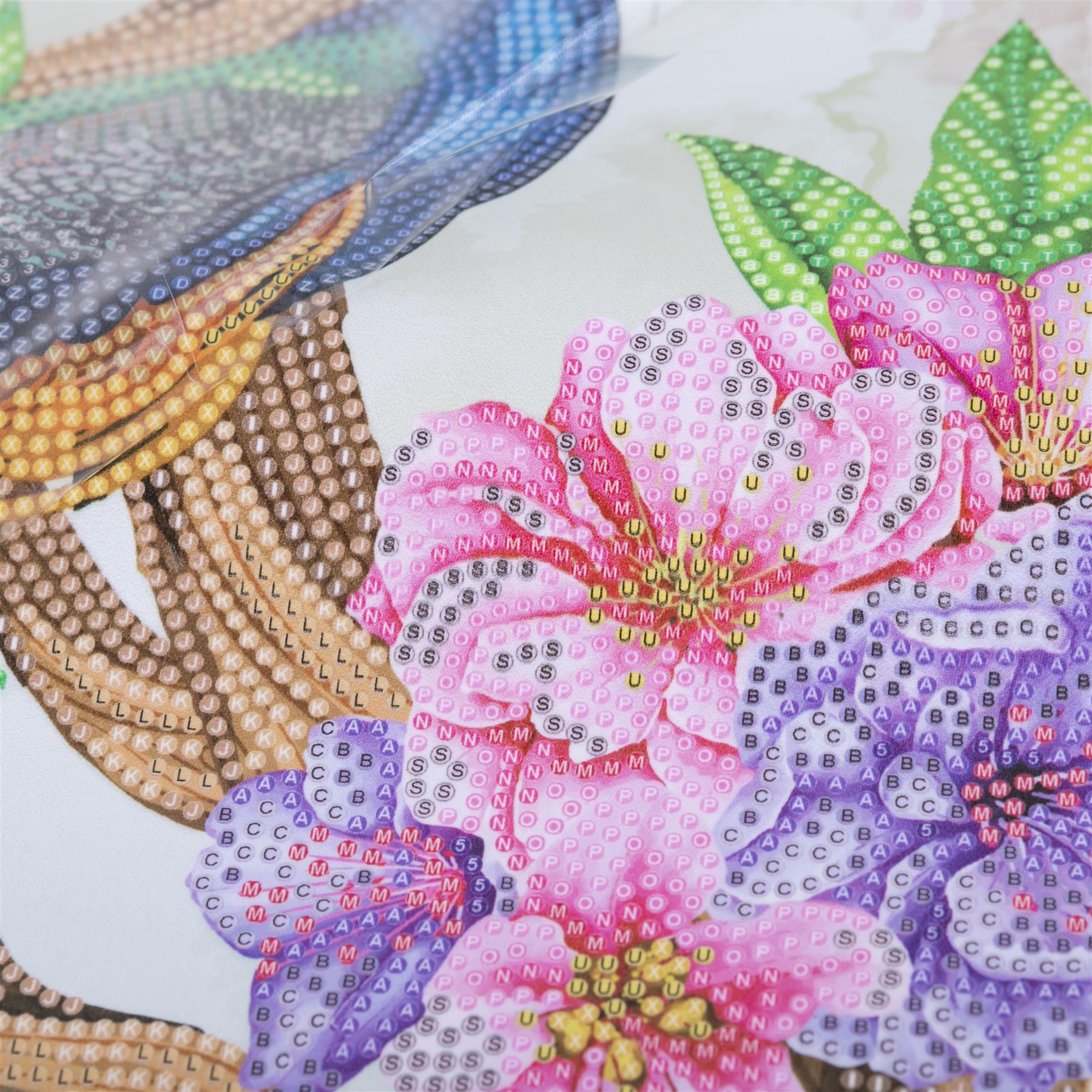 Peacock Peony 35x45cm Crystal Art Scroll