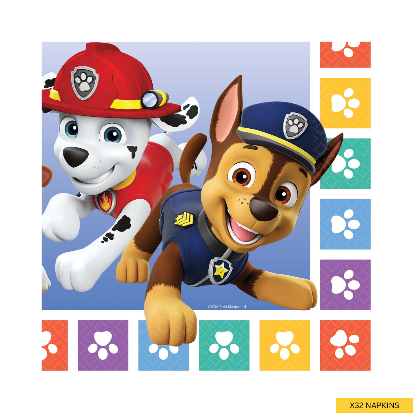 Paw Patrol Complete Birthday Party in a Box