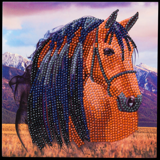 Horse 18x18cm Crystal Art Card