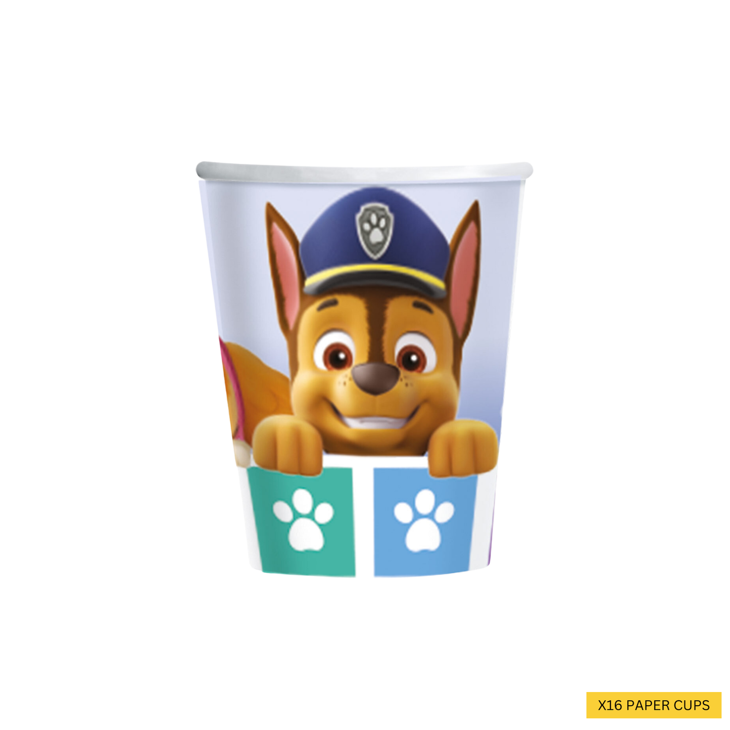Paw Patrol Complete Birthday Party in a Box