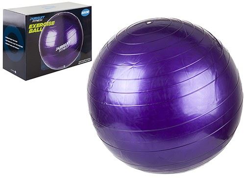 Summit Pursuit Fitness Exercise Ball 55cm Purple