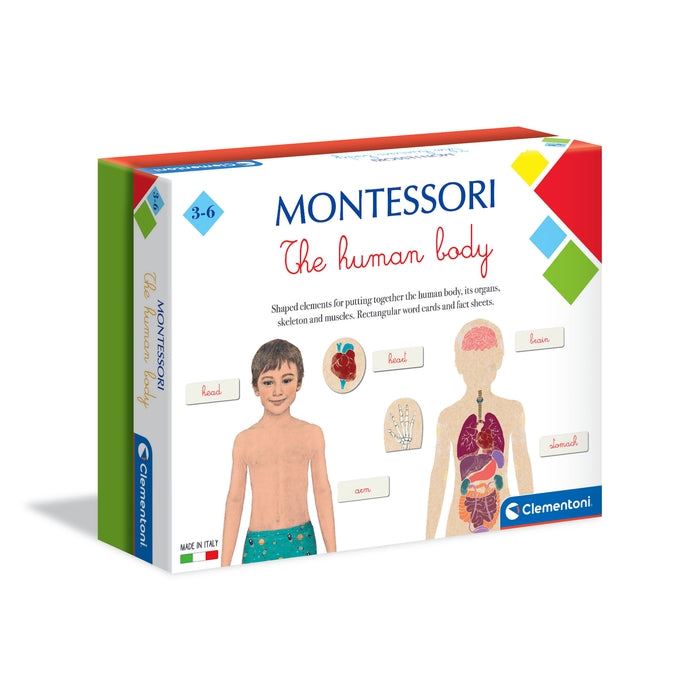 Montessori Human Body