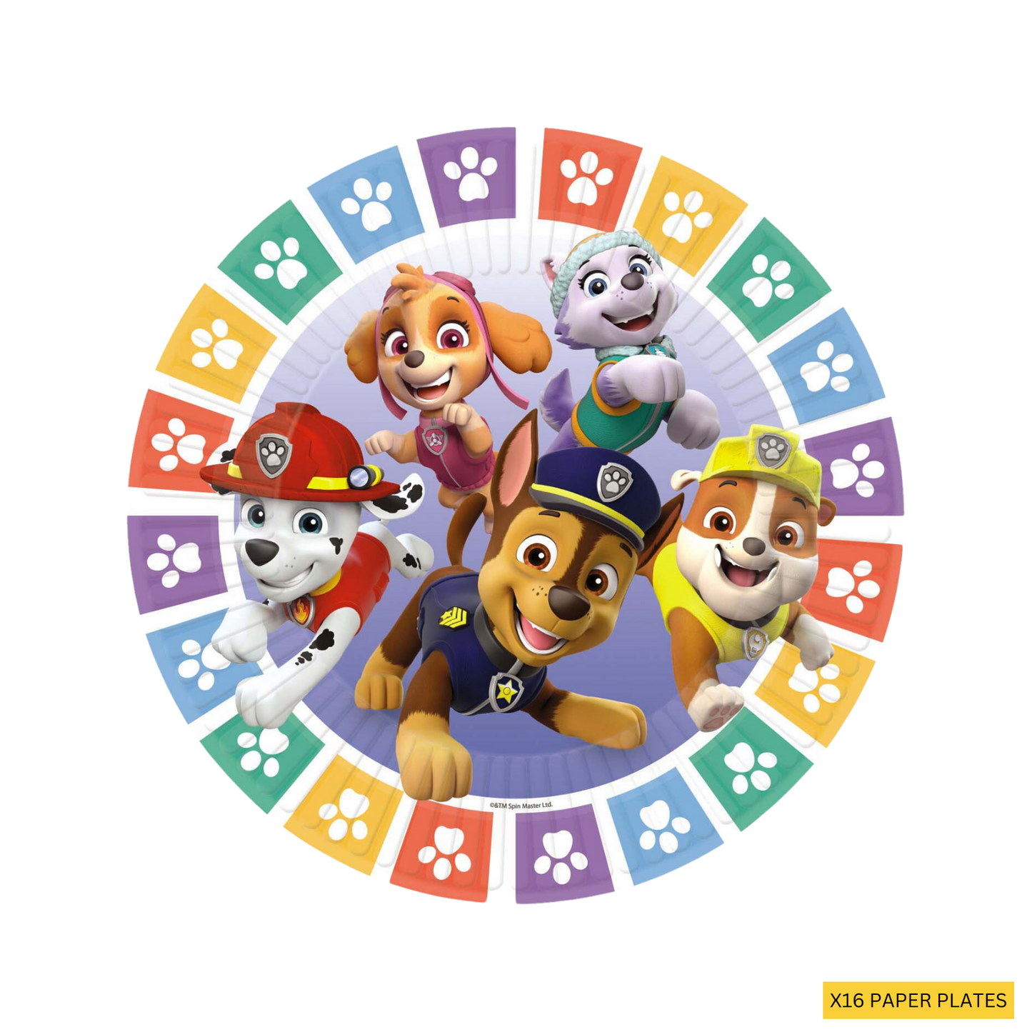 Paw Patrol Complete Birthday Party in a Box