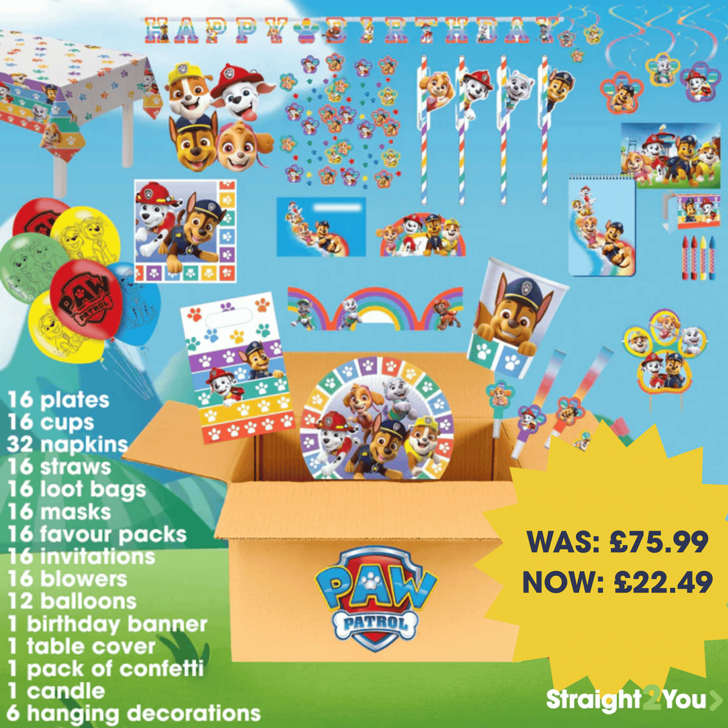 Paw Patrol Complete Birthday Party in a Box