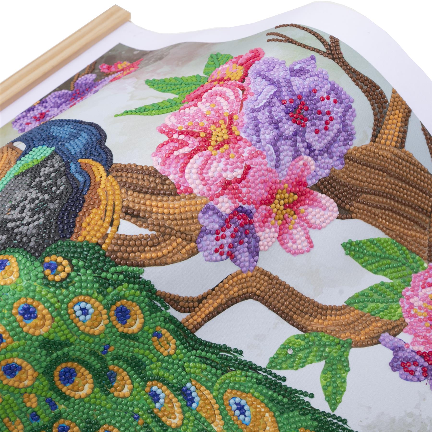 Peacock Peony 35x45cm Crystal Art Scroll