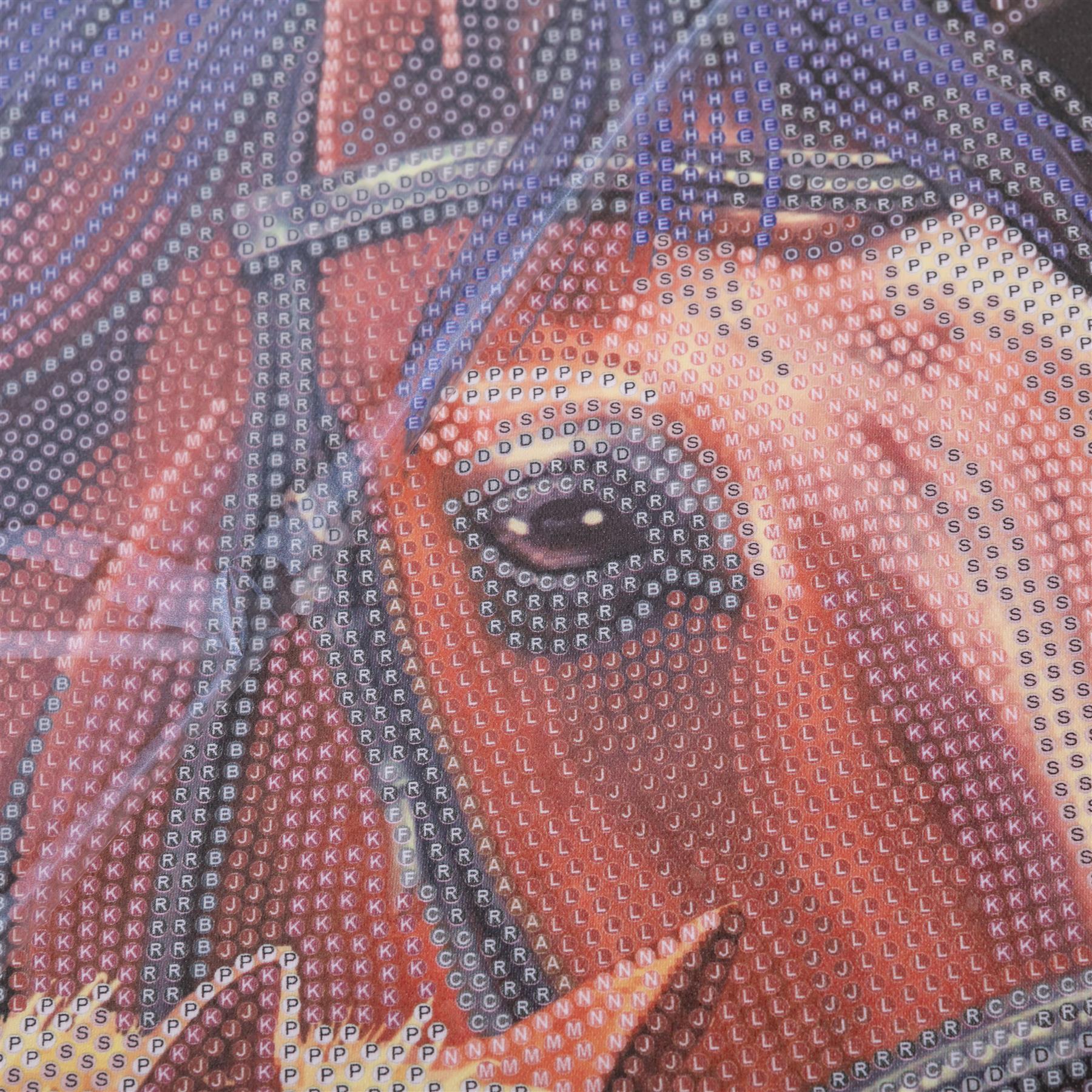 Chestnut Mares 35x45cm Crystal Art Scroll