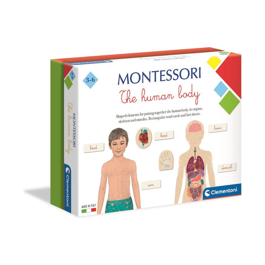 Montessori Human Body