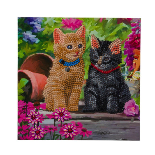 Cat Friends 18x18cm Crystal Art Card