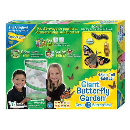 Butterfly garden, Garden butterfly, butterfly gardening, butterfly garden kits, insect lore, insect lore butterfly garden, butterfly gardens, live butterfly garden, caterpillars for butterfly garden, caterpillar grow kits, giant butterfly garden, live butterfly gardens caterpillars, uk garden butterflies, butterflies for school, butterfly kits for schools