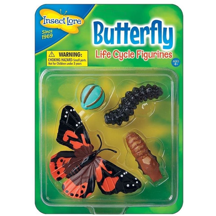 Butterfly garden, Garden butterfly, butterfly gardening, butterfly garden kits, insect lore, insect lore butterfly garden, butterfly gardens, live butterfly garden, caterpillars for butterfly garden, caterpillar grow kits, giant butterfly garden, live butterfly gardens caterpillars, uk garden butterflies, butterflies for school, butterfly kits for schools