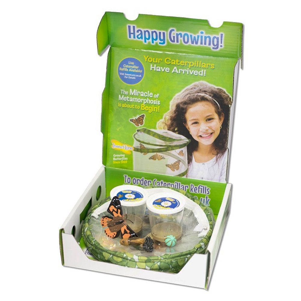 Butterfly garden, Garden butterfly, butterfly gardening, butterfly garden kits, insect lore, insect lore butterfly garden, butterfly gardens, live butterfly garden, caterpillars for butterfly garden, caterpillar grow kits, giant butterfly garden, live butterfly gardens caterpillars, uk garden butterflies, butterflies for school, butterfly kits for schools