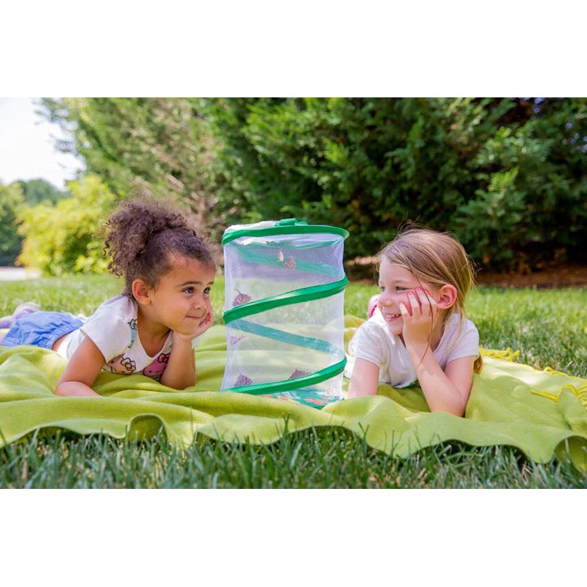 Butterfly garden, Garden butterfly, butterfly gardening, butterfly garden kits, insect lore, insect lore butterfly garden, butterfly gardens, live butterfly garden, caterpillars for butterfly garden, caterpillar grow kits, giant butterfly garden, live butterfly gardens caterpillars, uk garden butterflies, butterflies for school, butterfly kits for schools