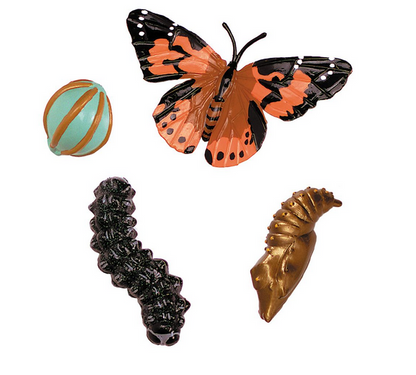 Insect Lore Painted Lady Butterfly Lifecycle Stages Figurines