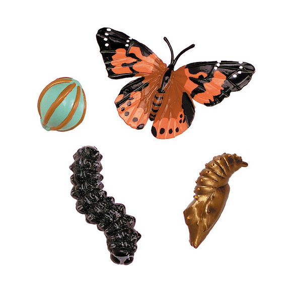 Insect Lore Painted Lady Butterfly Lifecycle Stages Figurines